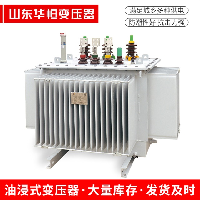 S13-10000/35宁乡宁乡宁乡电力变压器