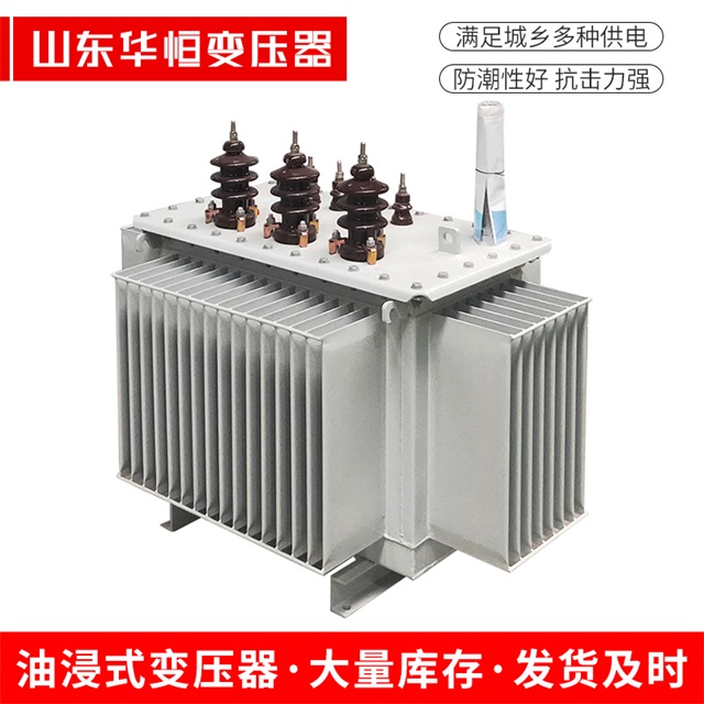 S13-10000/35宁乡宁乡宁乡油浸式变压器厂家